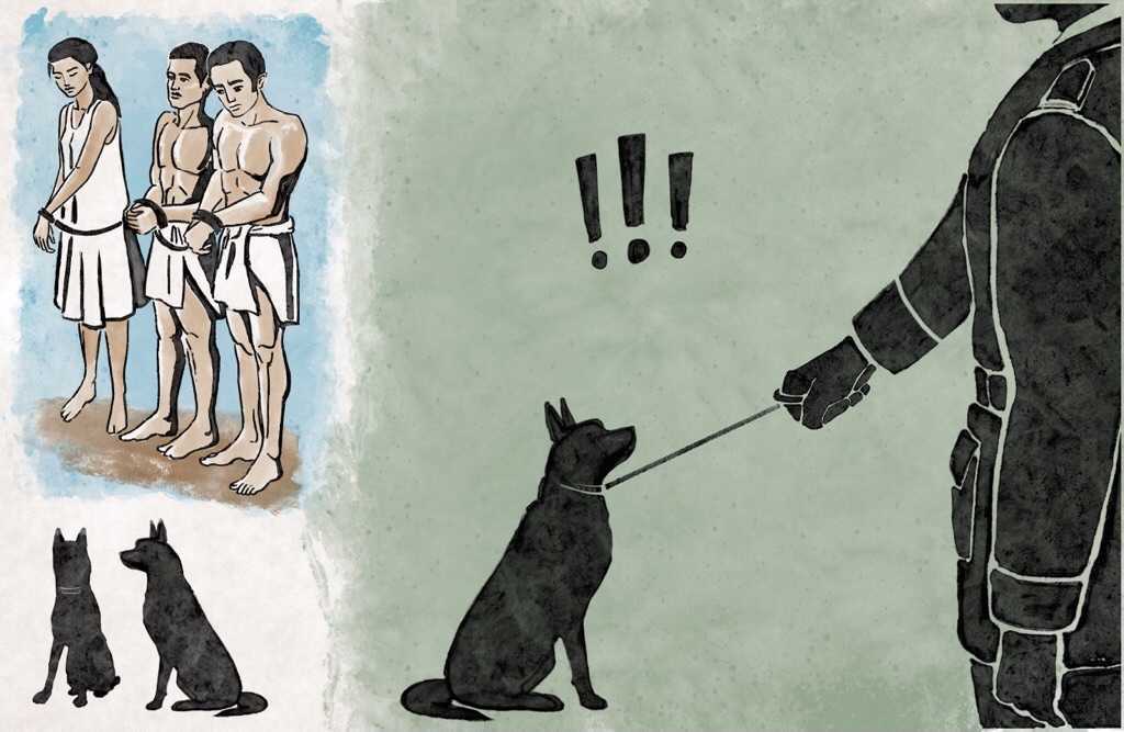 Illustration of non-African slaves and dogs being commanded. mx-society.org - mutt, dogs, derogatory language,